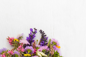 Wall Mural - Bunch of wildflowers on white background, copyspace. Colorful field flowers mix. Bright blossom motive