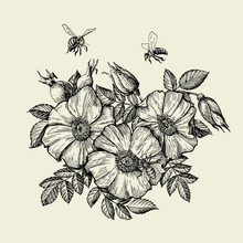 Bees Flying To The Flower. Hand Drawn Beekeeping. Vector Illustration