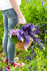 Poster - bouquet of lupine