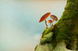 Background with moss and fly agaric