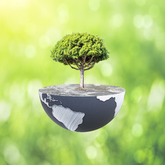 Poster - Globe with tree, green background