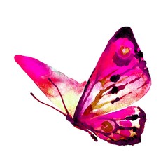 Poster - butterflies design