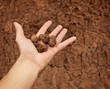 Hand with lumps of clay ground