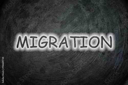 Migration Text On Background Buy This Stock Illustration And Explore 