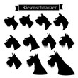 Set of riesenschnauzer or giant schnauzer dog head icons. Elements of logo for pet shop, styling and grooming salon, dog products or services. Vector Illustration