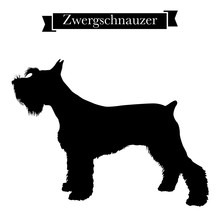 Dog Breeds - Purebred Zwergschnauzer Or Miniature Schnauzer Dog. Vector Illustration