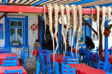 Traditional Greek Food Octopus Drying In The Sun In The Village