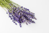 Fototapeta Lawenda - Lavender flowers isolated on white background