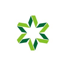Green Fractal Star Logo Template