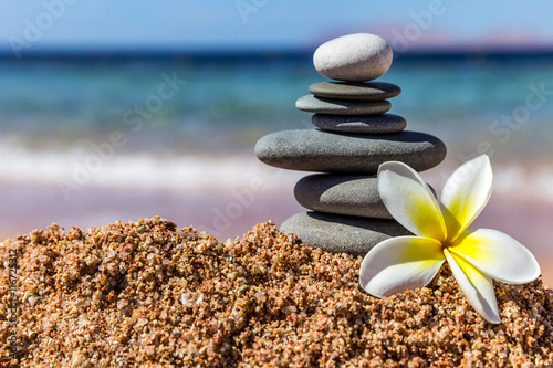 Obraz w ramie plumeria flower close up on sea beach