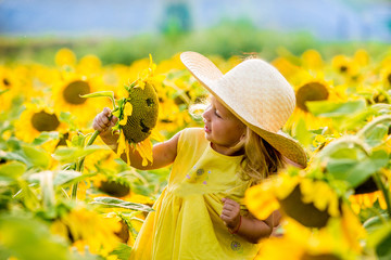 beautiful little girl in sunflowers