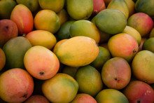 Pile Of Fresh Mango Fruits