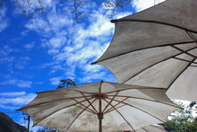 Big White Umbrellas In The Garden With Blue Sky Background In The Sunny Day