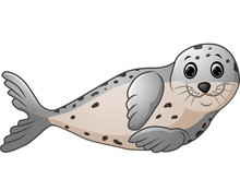 Cute Seal Cartoon