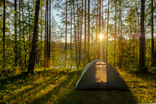 Tent In A Pine Forest On Sunset
