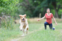 Woman Playing With Throwing Frisbee To Dog