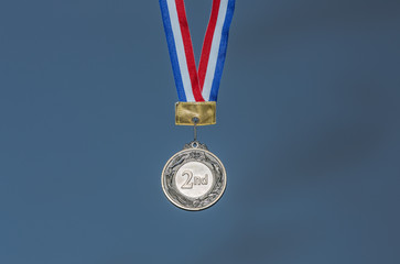 silver medal sports