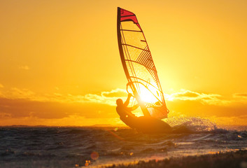 Windsurfer.