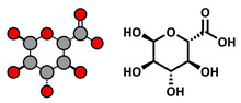 Glucuronic Acid Molecule. 