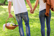 © Impact Photography - Picnic in nature