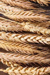 spikelets of wheat on the wooden background