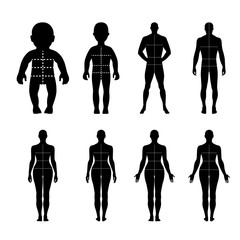 Wall Mural - Full length front, back human silhouette set with marked body's