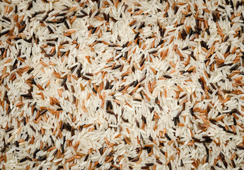 detail of uncooked mix rice grains background