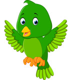 Fototapeta Dinusie - Cute green bird cartoon