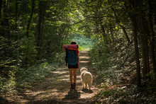 Female Hiker Walking With Her Dog Under The Rays Of The Morning Sun In The Mountain Forest