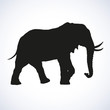 Elephant. Vector drawing