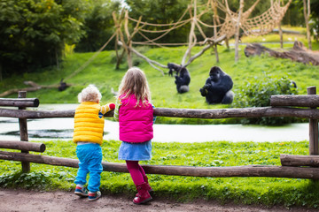 Poster - Kids watching animals at the zoo