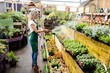© Wavebreak Media - Florist spraying water on plants