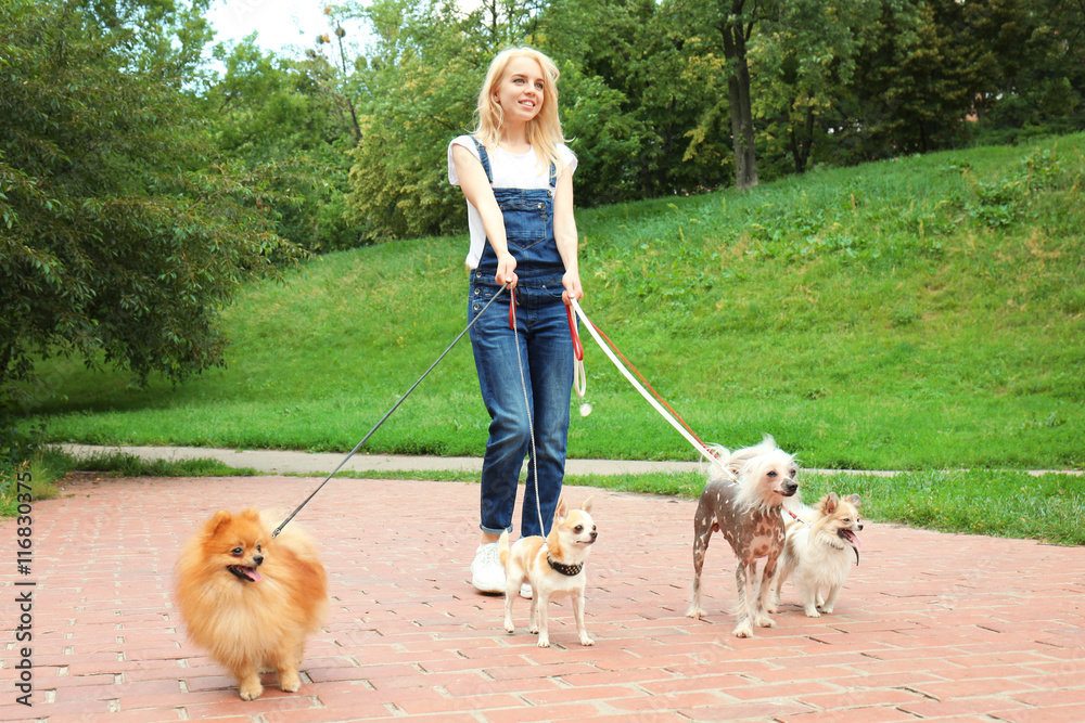 Woman walking dogs in park