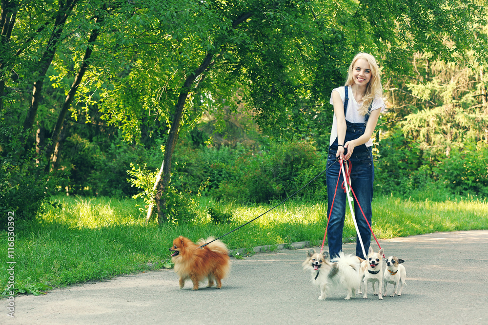 Woman walking dogs in park