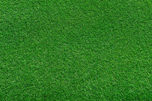 Real Green Grass Background
