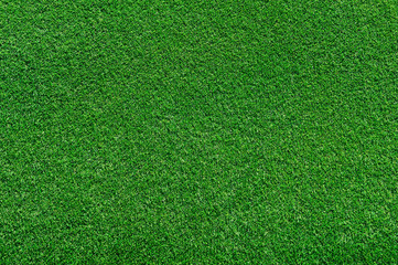 Wall Mural - real green grass background