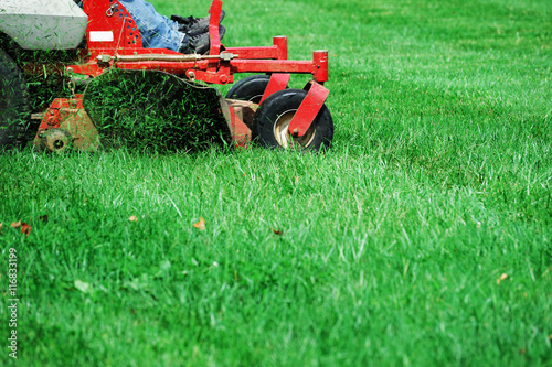 Pinturas sobre lienzo  mowing the lawn