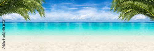 coco palms  tropical paradi...