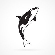 Orca Jumping  Sign On White Background