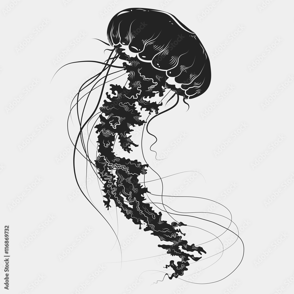 Hand drawn graphic jellyfish. Vector illustration. Tattoo sketch. Sea  collection. Isolated on a white background Stock Vector | Adobe Stock, image size:1000x1000
