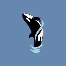 Orca Whale Jumping On Blue Background Vector Illustration