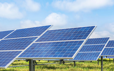 Wall Mural - photovoltaics module solar panels in solar station