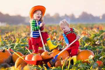 kids picking pumpkins on halloween pumpkin patch