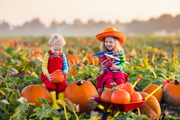 Kids picking pumpkins on Halloween pumpkin patch