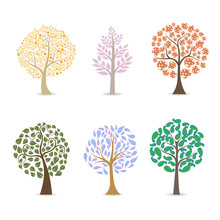 Broad Leaf Tree Illustration - Brown, Orange, Purple, Yellow, Green Leaves Trees.