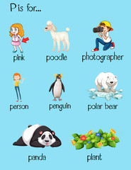 Poster - Many words begin with letter P