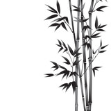Ink paint bamboo bush. Card with black bamboo plants isolated on white background. Decorative bamboo branches. Vector illustration.