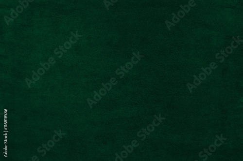 Cuadros en Lienzo Green color velvet texture background