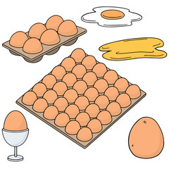 Wall Mural - vector set of eggs