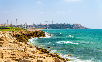 Poster - View of the Mediterranean waterfront in Tel Aviv